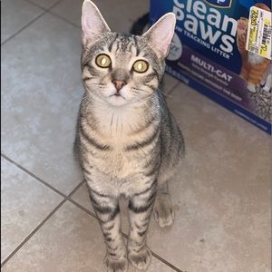 Meet your Posher, Alaina